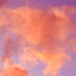 Meet your Posher, Simone